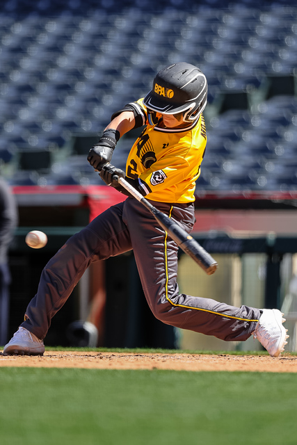 Youth Baseball BPA Black vs BPA Gold